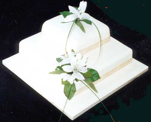 A two tier stacked wedding cake.